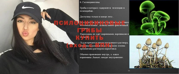 Альфа ПВП Коряжма