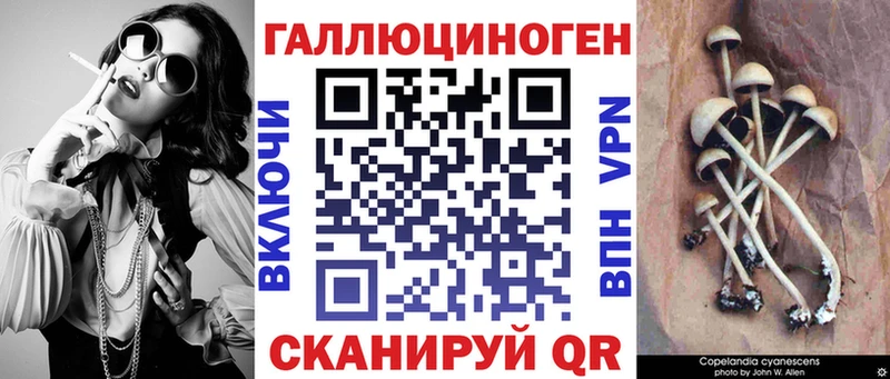 Галлюциногенные грибы Psilocybe  Лысьва 